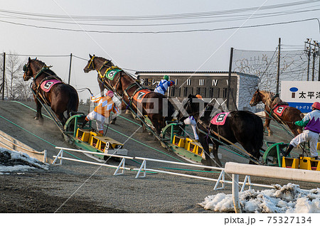 北海道遺産　ばんえい競馬 75327134