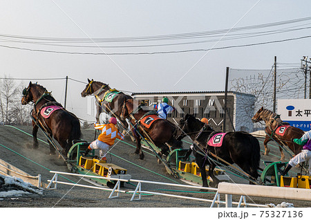 北海道遺産 ばんえい競馬 北海道遺産 ばんえい競馬 75327136