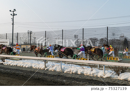 北海道遺産　ばんえい競馬 75327139