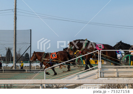 北海道遺産 ばんえい競馬 北海道遺産 ばんえい競馬 75327158