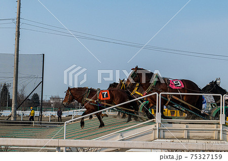 北海道遺産　ばんえい競馬 75327159