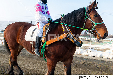 北海道遺産　ばんえい競馬 75327191