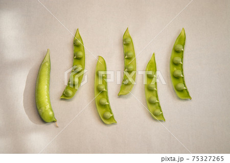 春の訪れ　うすいえんどう豆 75327265