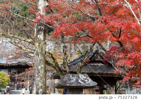 紅葉 紅葉 75327326
