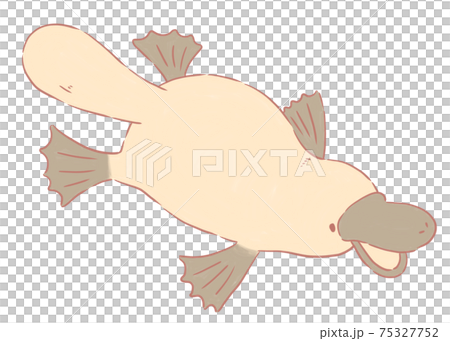 すいすいカモノハシ 75327752