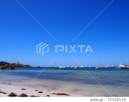 ロットネスト島　美しいビーチ 75328119