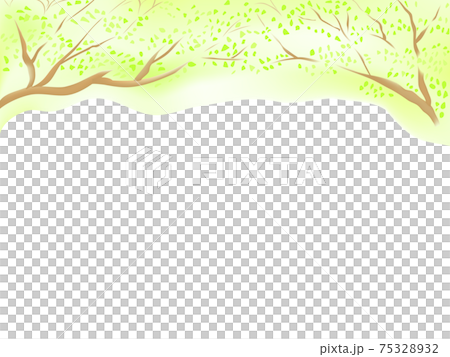 Green tree frame illustration - Stock Illustration [75328932] - PIXTA