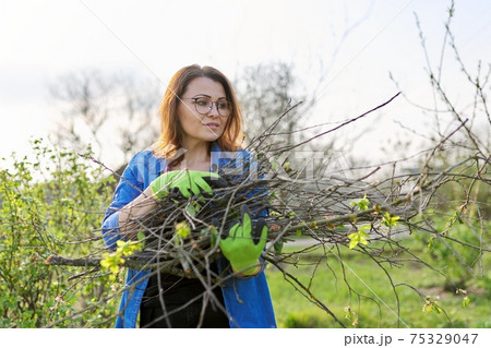 Woman gardener in gloves with dry branches of bushes and fruit trees Woman gardener in gloves with dry branches of bushes and fruit trees 75329047