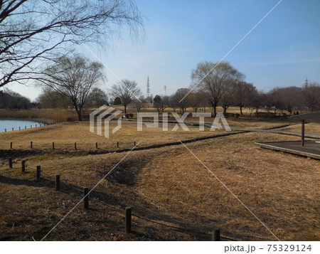 大室公園の風景 大室公園の風景 75329124