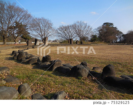 大室公園の風景 75329125