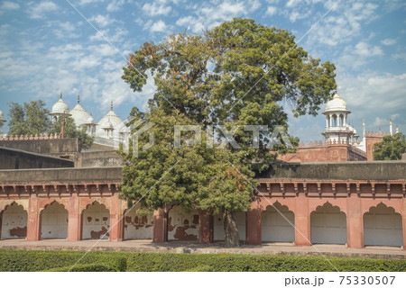 Moti masjid pearl mosque in Agra 75330507