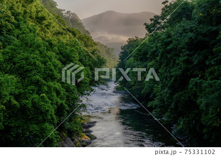 夏の滝上町 錦仙峡の朝の風景 夏の滝上町 錦仙峡の朝の風景 75331102