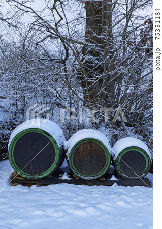 Wine barrels, Southern Moravia, Czech Republic Wine barrels, Southern Moravia, Czech Republic 75331184