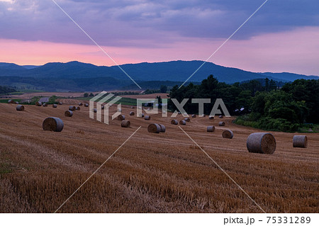 夏の美瑛町 麦稈ロールと夕焼け空 75331289
