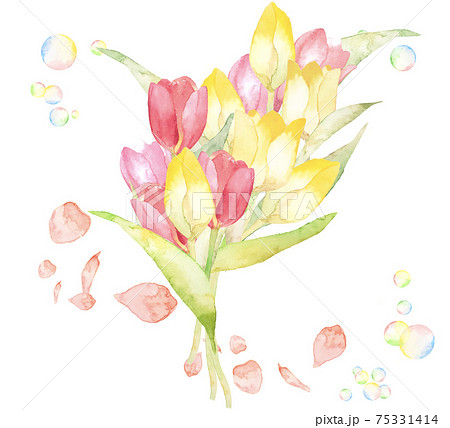 チューリップの花束 春の水彩イラスト 複数バリエーションありますのイラスト素材
