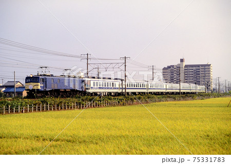 1997年 東海道本線を行くEF58157ユーロライナー 1997年 東海道本線を行くEF58157ユーロライナー 75331783