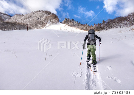 氷ノ山国際スキー場の雪景色（兵庫県養父市）※作品コメント欄に撮影位置 75333483