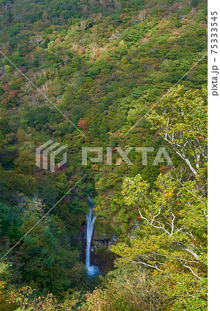 栃木県那須高原の染まり始めた駒止の滝(こまどめのたき) 栃木県那須高原の染まり始めた駒止の滝(こまどめのたき) 75333545