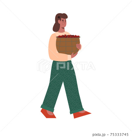 Coffee farmer carrying a bag full of coffee beans a flat vector illustration. Coffee farmer carrying a bag full of coffee beans a flat vector illustration. 75333745