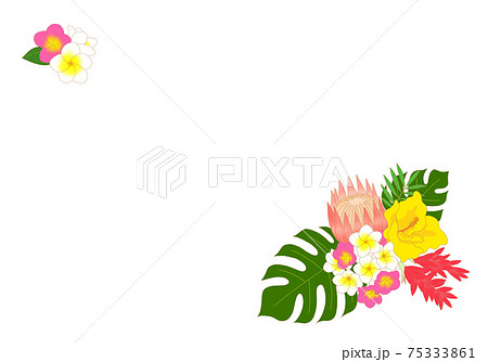 プルメリアやハイビスカスなどトロピカルフラワーのハワイアン背景 75333861