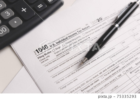 US Individual income tax return US Individual income tax return 75335293
