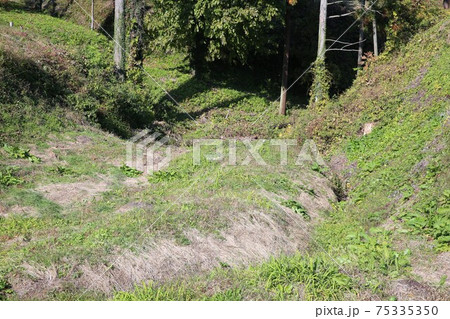 名胡桃城 75335350