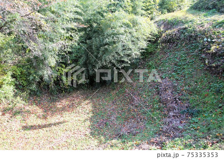 名胡桃城 75335353