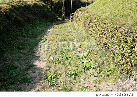 名胡桃城 75335373