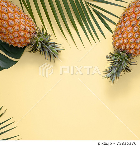 パイナップル パイン パインアップル 75335376