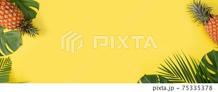 パイナップル パイン パインアップル 75335378