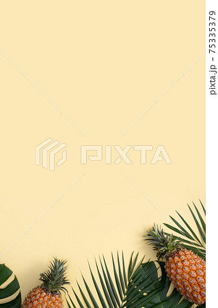 パイナップル パイン パインアップル 75335379