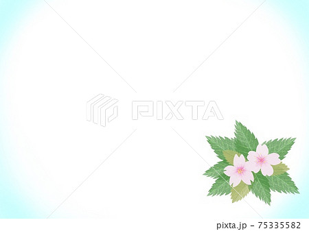 桜と葉っぱの背景のイラスト素材