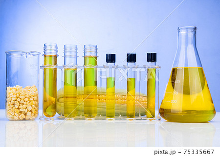 Ethanol biofuel derived from corn maze with beaker test tubes in laboratory on blue background Ethanol biofuel derived from corn maze with beaker test tubes in laboratory on blue background 75335667