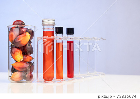 Red color unrefined palm oil and fruits with beaker test tube in laboratory Red color unrefined palm oil and fruits with beaker test tube in laboratory 75335674