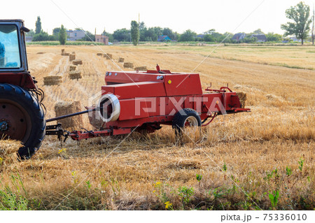 Rectangular baler discharges a straw bale in a field during the harvesting process 75336010