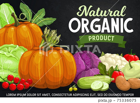 Vegetables on chalkboard, fresh farm veggie food 75336075