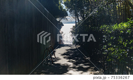 海へと続く映画のワンシーンような緑に囲まれた道 海へと続く映画のワンシーンような緑に囲まれた道 75336267