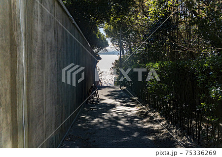 海へと続く映画のワンシーンような緑に囲まれた道 75336269