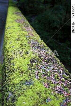 二手橋　にてばし　橋　矢ケ崎川　軽井沢　長野　佐久　苔 75336845