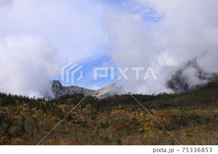 紅葉と秋空と雲の中の北アルプス　撮影場所：栂池自然園（長野県、中部山岳国立公園） 75336853