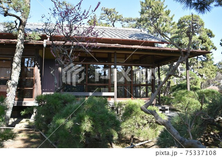 茅ヶ崎市　氷室椿庭園にある旧氷室家住宅主屋 75337108