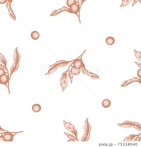 Seamless pattern with hand drawn pastel solanum Seamless pattern with hand drawn pastel solanum 75338040