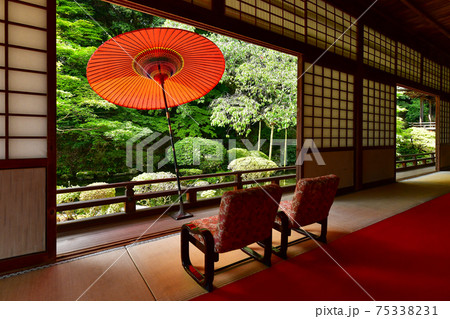 滋賀　国指定名勝庭園　圓満院庭園 75338231