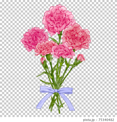 綺麗なカーネーションの花束 水彩風手描きイラスト素材のイラスト素材