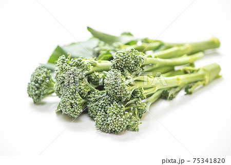 スティックブロッコリー スティックセニョール 健康野菜 スティックブロッコリー スティックセニョール 健康野菜 75341820