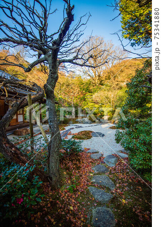 古都鎌倉の秋 紅葉の浄妙寺(鎌倉五山) 庭園 古都鎌倉の秋 紅葉の浄妙寺(鎌倉五山) 庭園 75341880