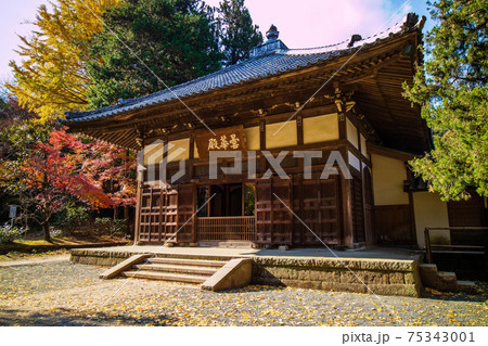 古都鎌倉の秋　紅葉の浄智寺（鎌倉五山）　本堂（曇華殿） 75343001