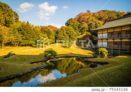 古都鎌倉の秋 紅葉の建長寺(鎌倉五山) 得月楼と方丈庭園 古都鎌倉の秋 紅葉の建長寺(鎌倉五山) 得月楼と方丈庭園 75343139