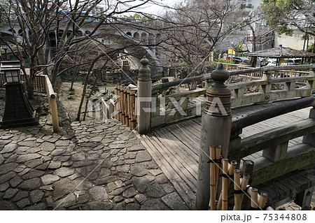 3月 北区80音無橋・音無親水公園 3月 北区80音無橋・音無親水公園 75344808
