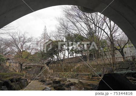 3月 北区72音無橋・音無親水公園 3月 北区72音無橋・音無親水公園 75344816